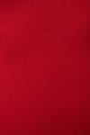 Red Classic Turtleneck Maxi Dress